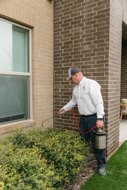 Big D Pest & Termite Services