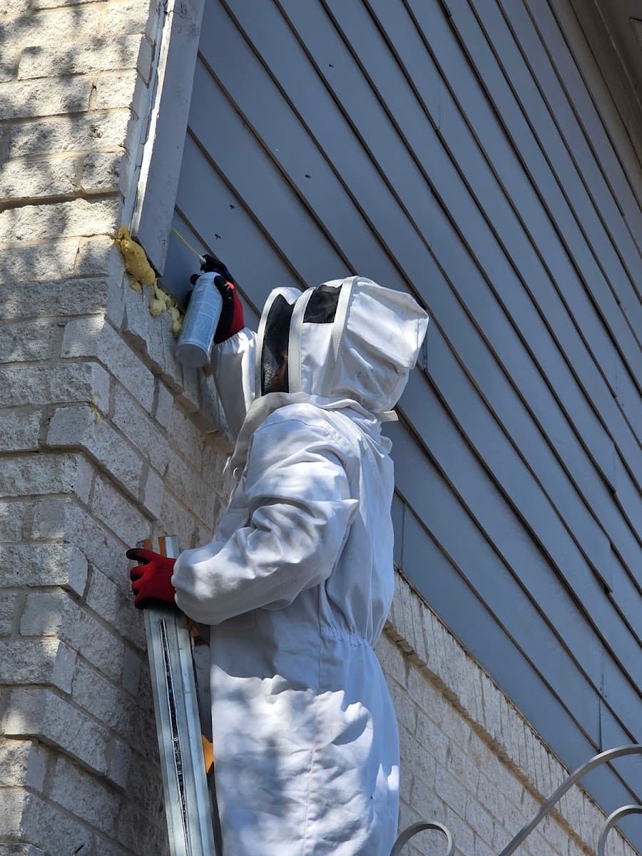 Superior Pest Control, LLC — pest control in Conroe, MONTGOMERY County, TX