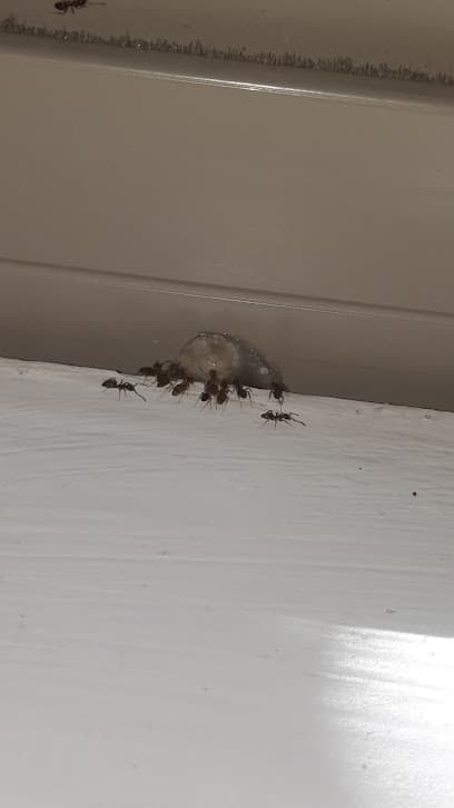 1st Choice Pest Control, Inc.