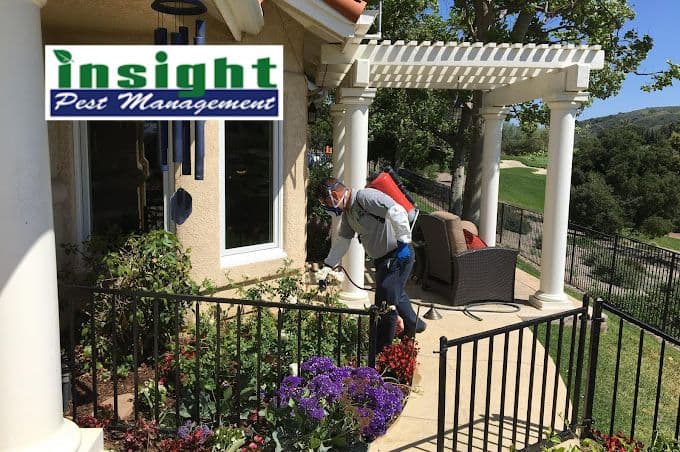 Insight Pest Management