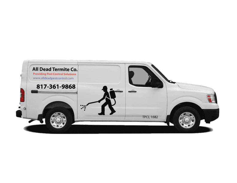 All Dead Termite Co.