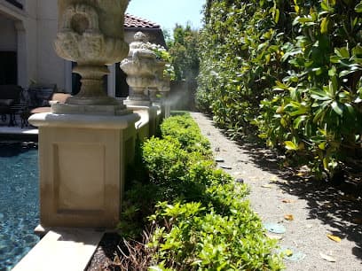 Mosquito Mister Natural