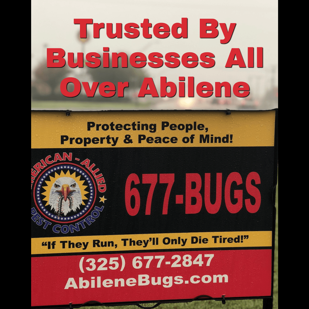 American-Allied Pest Control