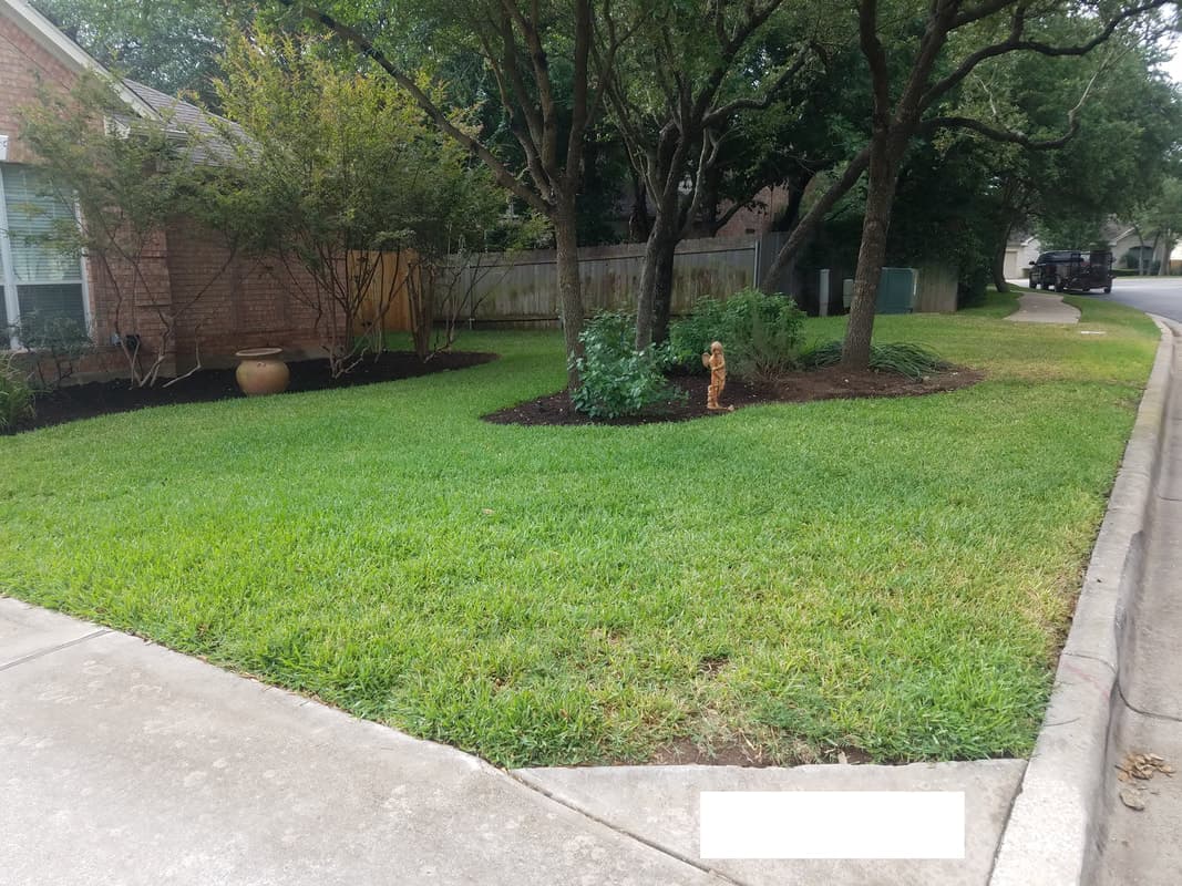 Blue Ribbon Lawncare