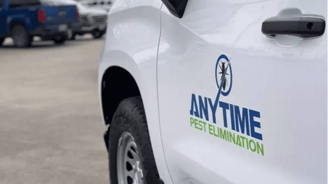 Anytime Pest Elimination Richmond — pest control in Richmond, FORT BEND County, TX