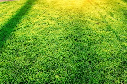 Top Turf Lawn Care and Pest Management