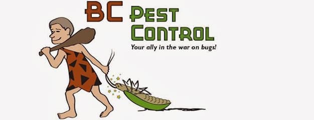 BC Pest Control — pest control in Georgetown, WILLIAMSON County, TX