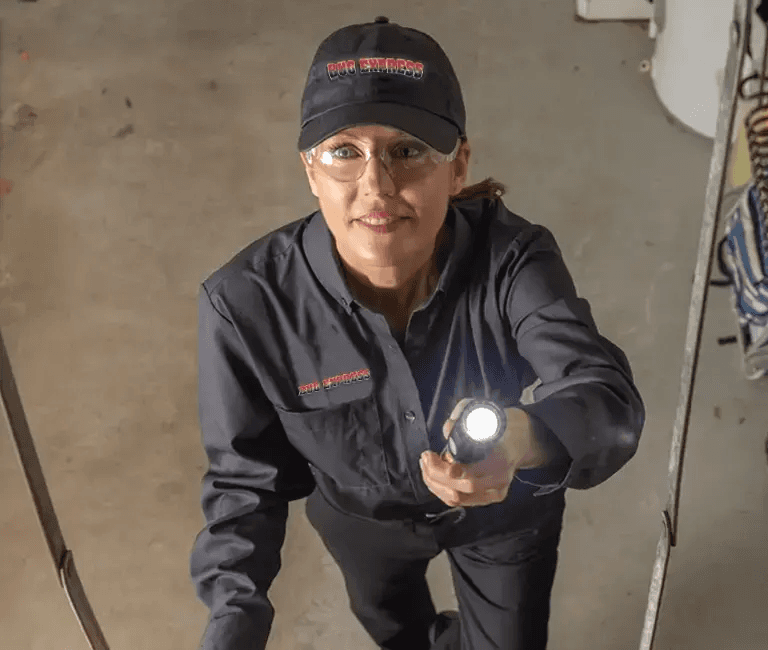 Bug Express Pest Control