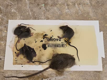 P.E.S.T. Control Co.