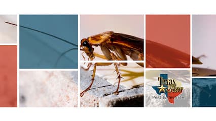 Texas Star Pest & Termite