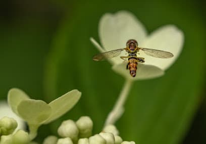 Lagniappe Exterminating