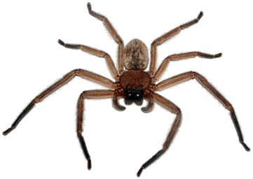 Circle S Pest Control