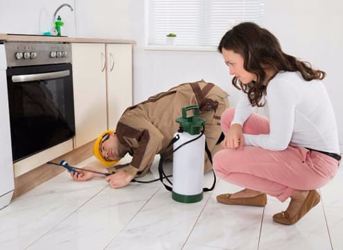 Ontime Termite & Pest Control