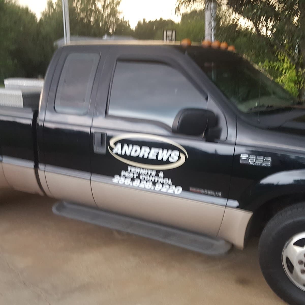 Andrews Termite and Pest Control