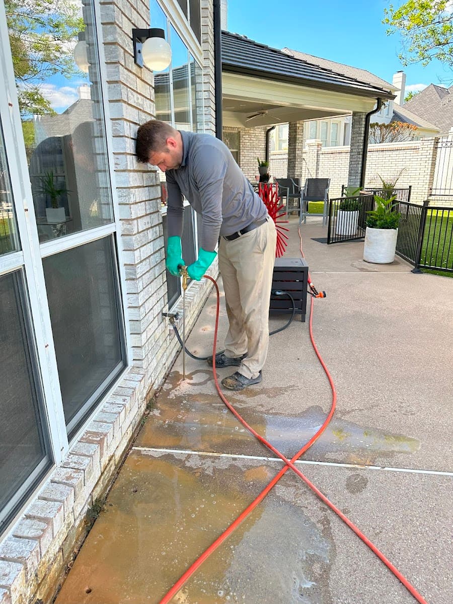 Ally Pest and Termite