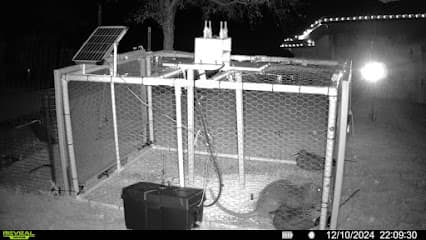 Caraway Pest Control