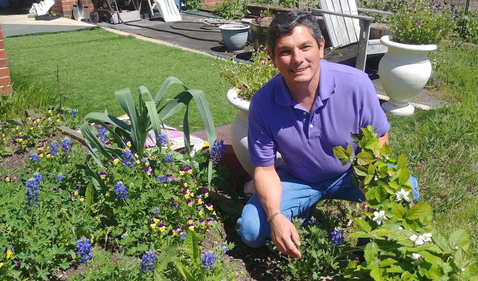 Reyna's Enviro Solutions Pest Control