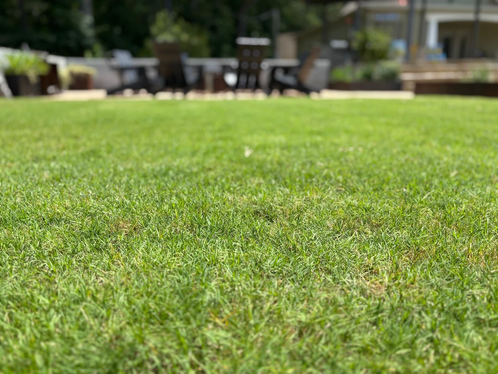 Evergreen Lawn Care