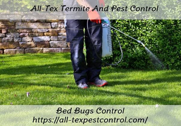 All-Tex Termite And Pest Control