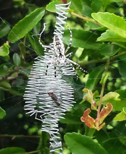 Sovereign Pest Control