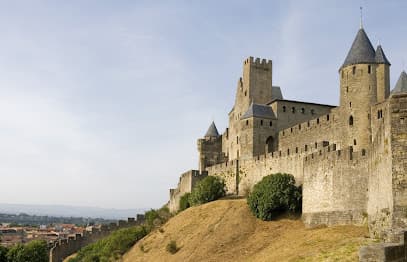 Castle Termite & Pest Control