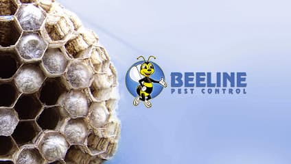 Beeline Pest Control Texas