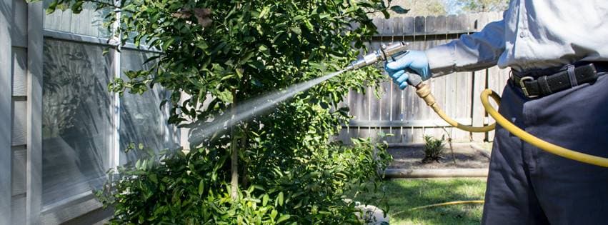 Reliant Pest Management