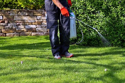 Preventive Pest Control - El Paso