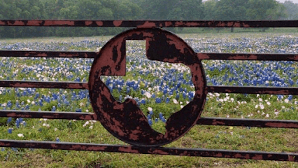 Melissa Galloway , Relationship Realty Group powered by Hite Properties