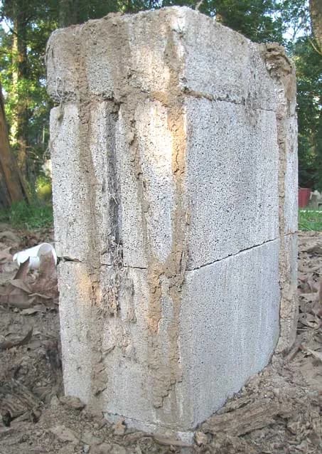 Termite mud tubes climbing up a concrete foundation