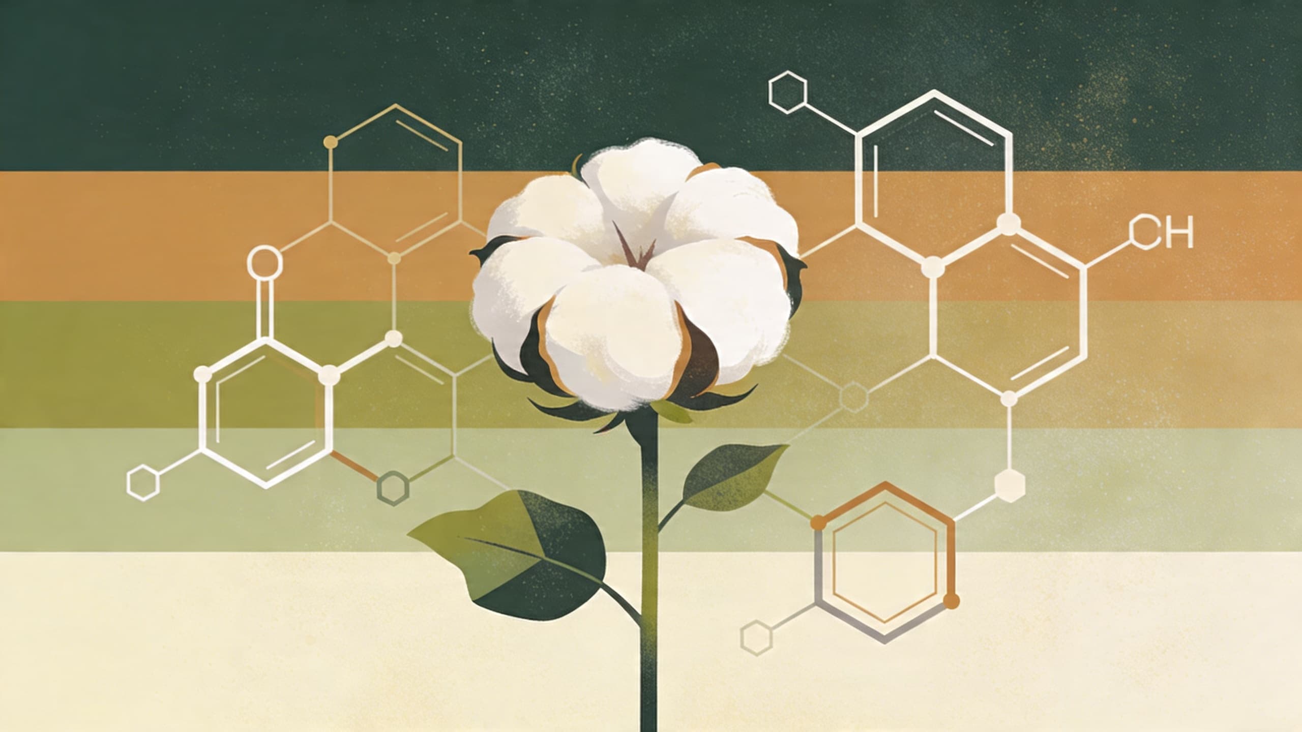 Abstract cotton plant with molecular cholesterol structures representing biotechnology research