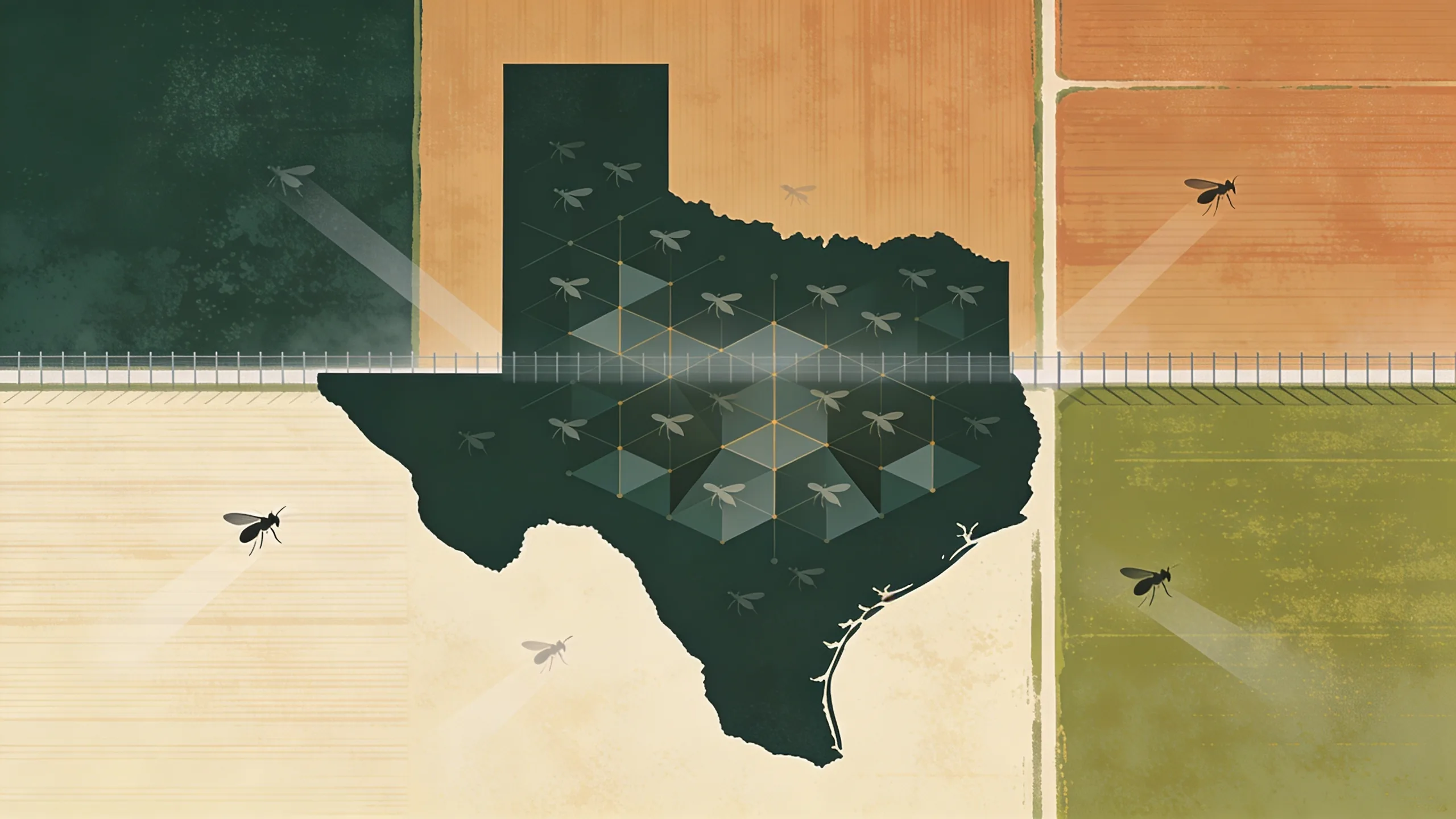 Abstract illustration of sterile fly dispersal over Texas border landscape with geometric patterns