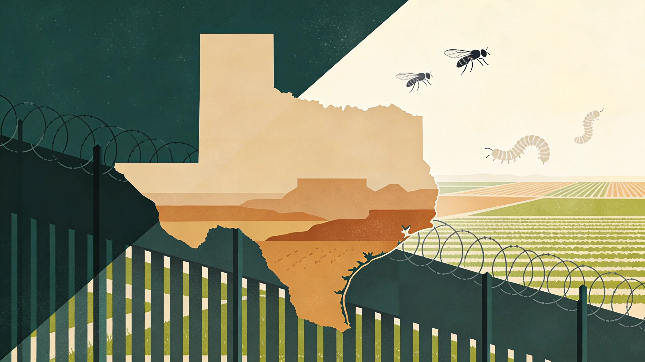 Abstract geometric illustration of Texas-Mexico border with sterile fly symbols and agricultural landscape