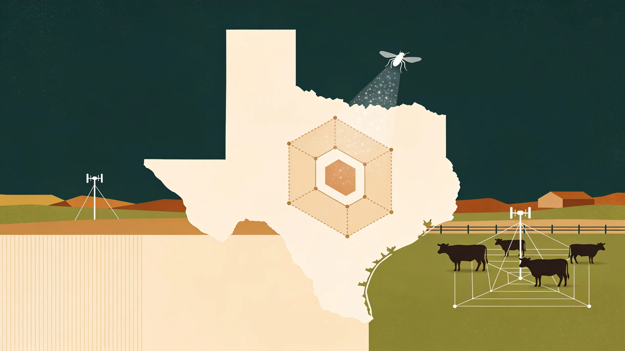 Abstract illustration of sterile fly dispersal over Texas ranchland with geometric patterns representing containment zones and surveillance networks