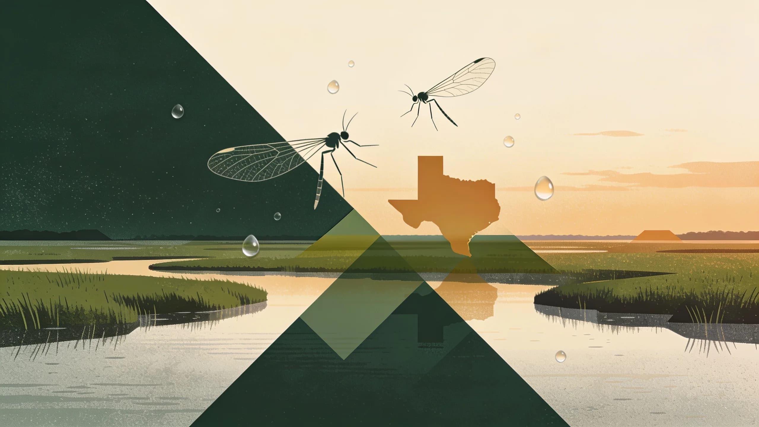 Abstract water droplets and mosquito wing patterns floating above a Texas Gulf Coast marsh landscape at dusk