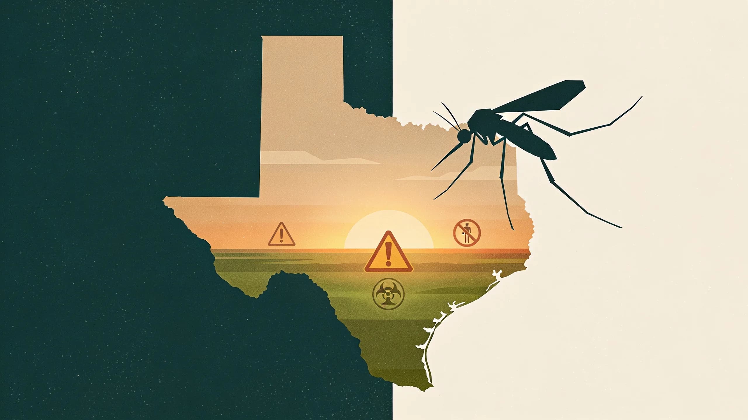 Geometric illustration of mosquito silhouette over Texas landscape with warning indicators