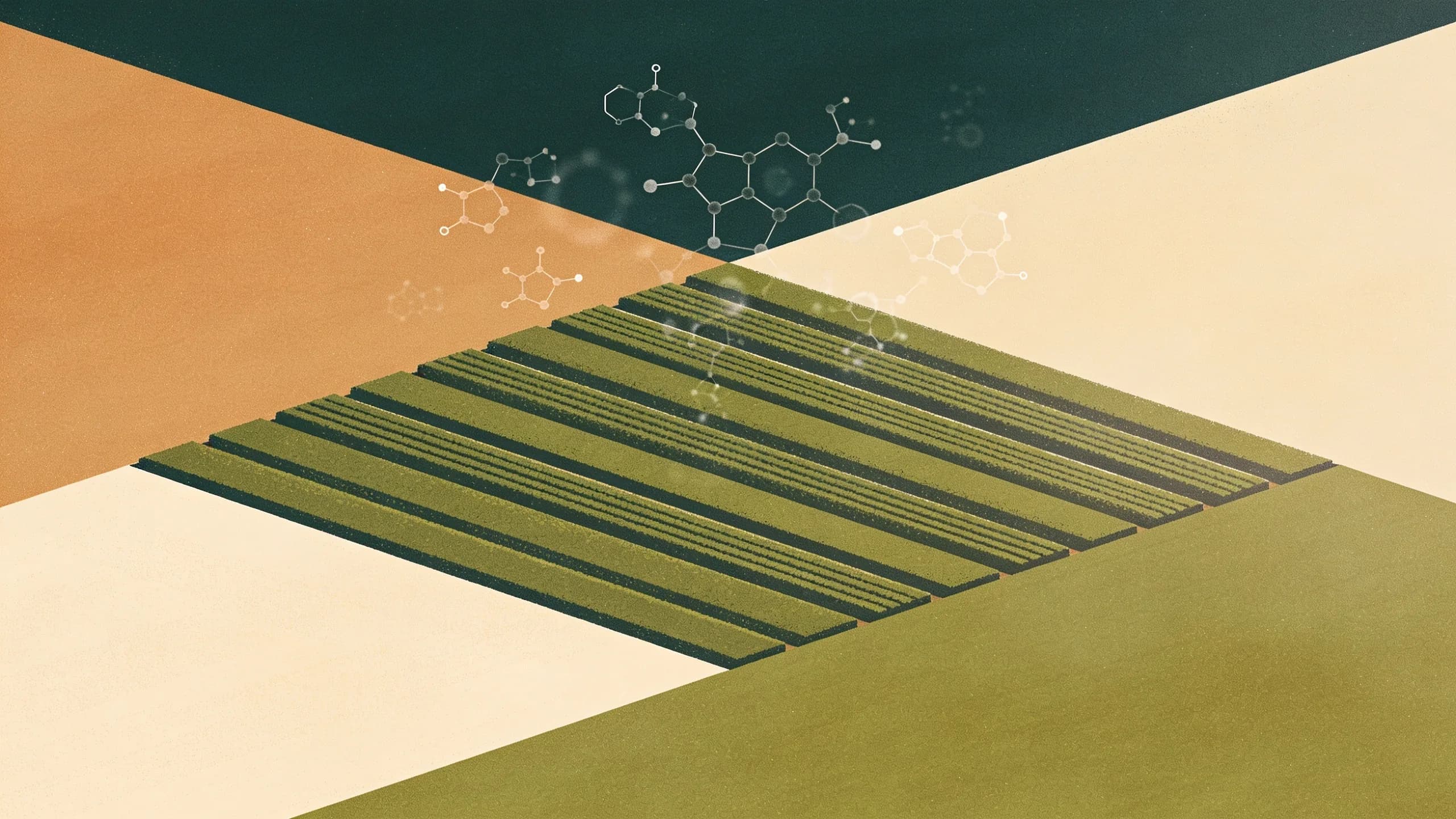 Abstract geometric illustration of agricultural fields with molecular structures floating above, representing scientific review of herbicide safety