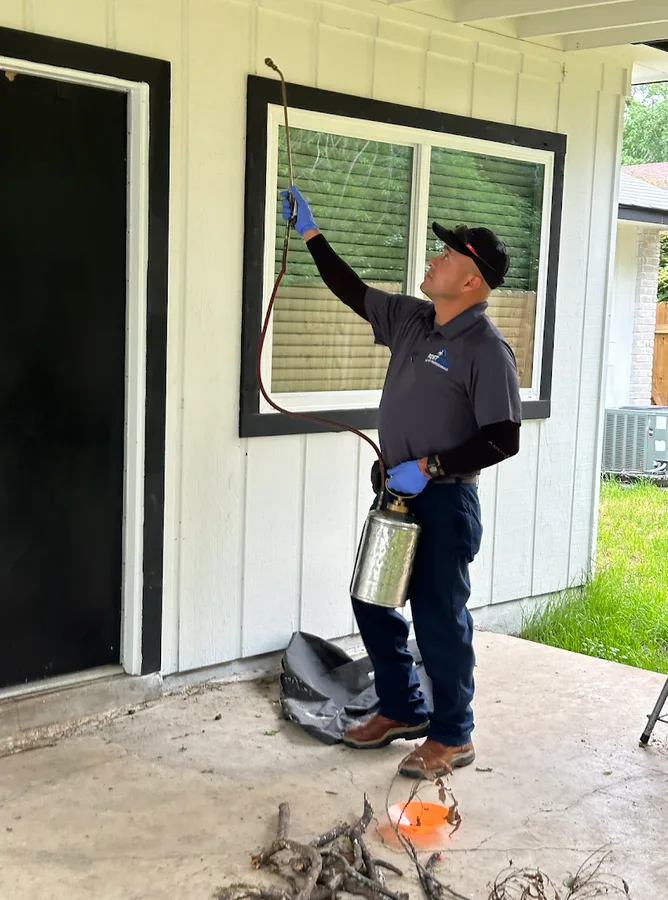 Pest Pro - The Pest Professionals — pest control in San Antonio, BEXAR County, TX