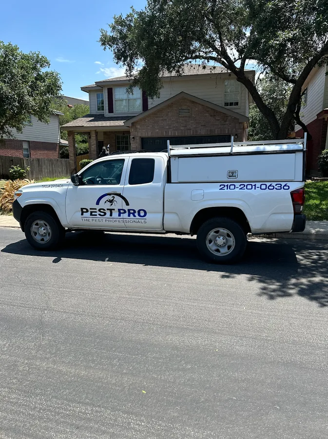 Pest Pro - The Pest Professionals in San Antonio, TX — business photo 3