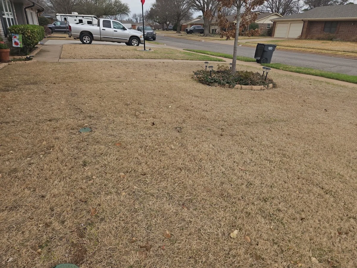 Perm-O-Green — pest control in Wichita Falls, WICHITA County, TX