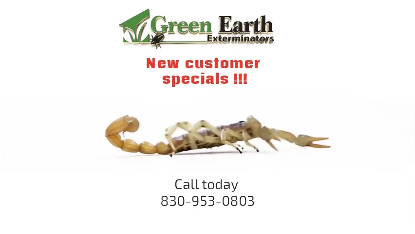 Green Earth Exterminators in Marble Falls, TX — business photo 2