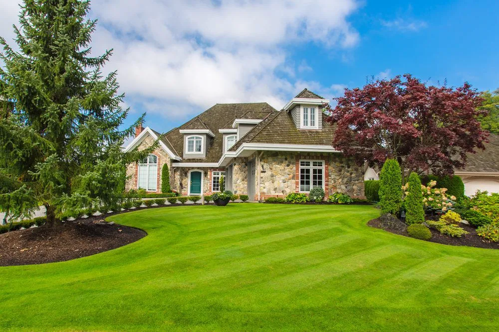Luxe Lawnscape, LLC in Montgomery, TX — business photo 2