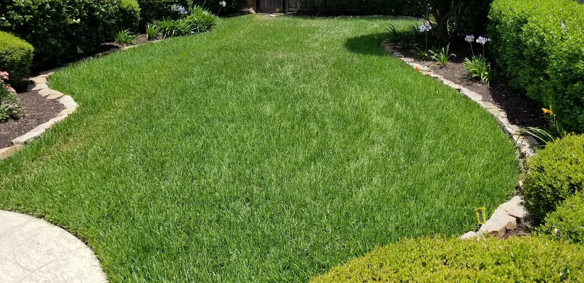 Luxe Lawnscape, LLC in Montgomery, TX — business photo 4