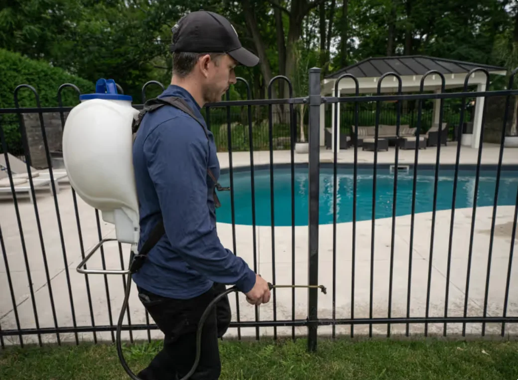 Insight Panhandle Pest Protection in Amarillo, TX — business photo 2