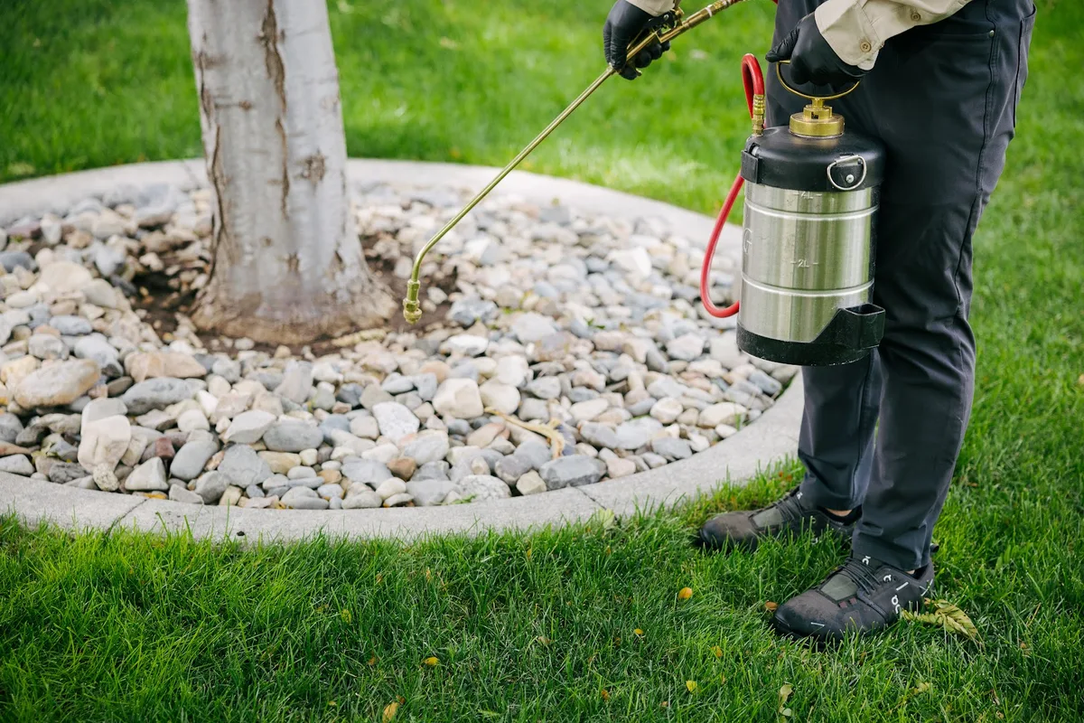 Insight Panhandle Pest Protection in Amarillo, TX — business photo 4