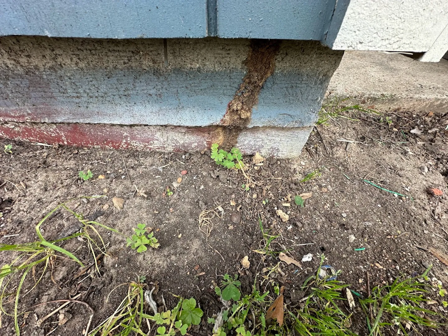 007 Pest & Termite in Houston, TX — business photo 6