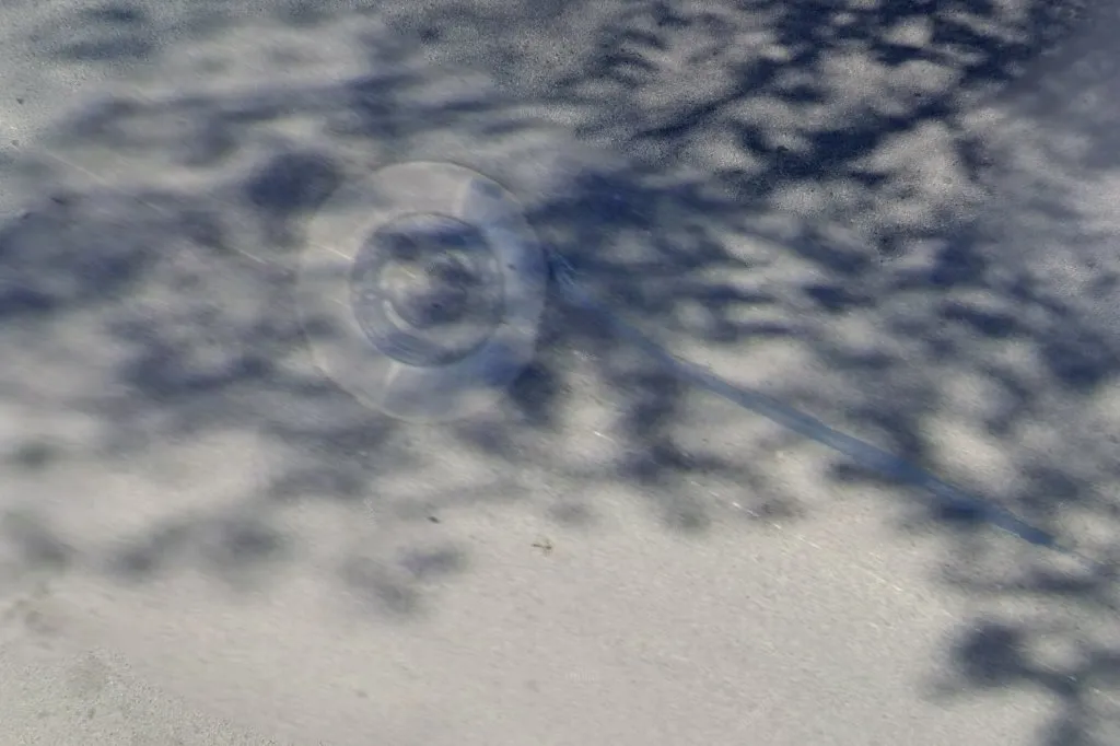 A-Bear Pest Control — pest control in San Antonio, BEXAR County, TX