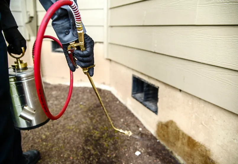 A 1 Pest Control in New Braunfels, TX — business photo 3