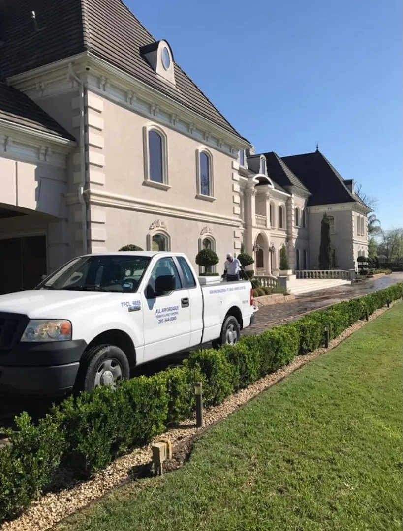 All-Affordable Termite & Pest Control in Houston, TX — business photo 2