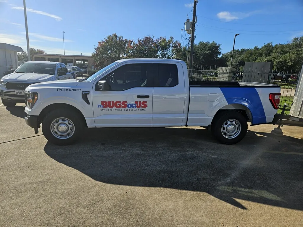 Its Bugs Or Us - Dallas in Dallas, TX — business photo 3